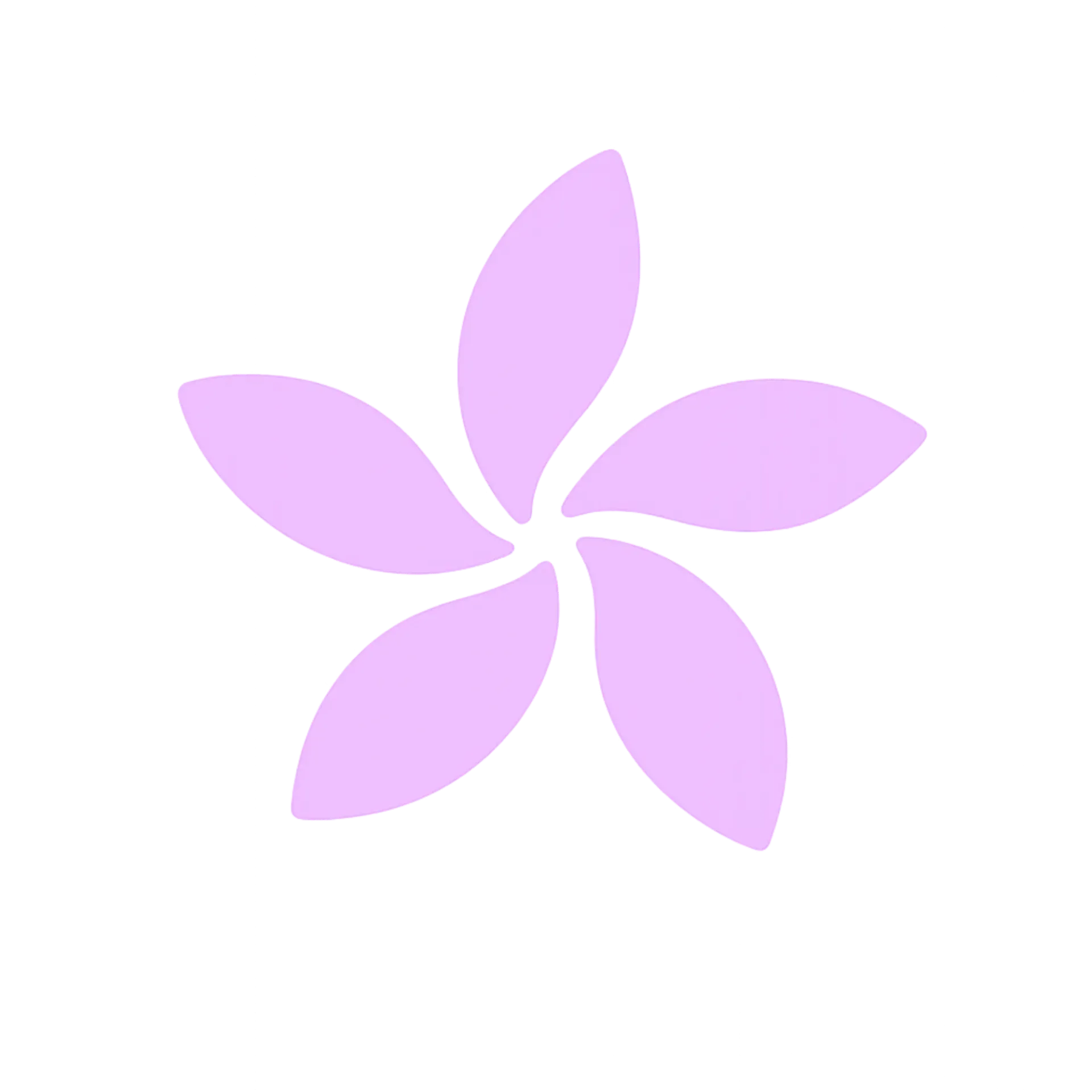 13. OPTION: Mehrmarkenpräsenz (max. 1 zusätzliche Marke)